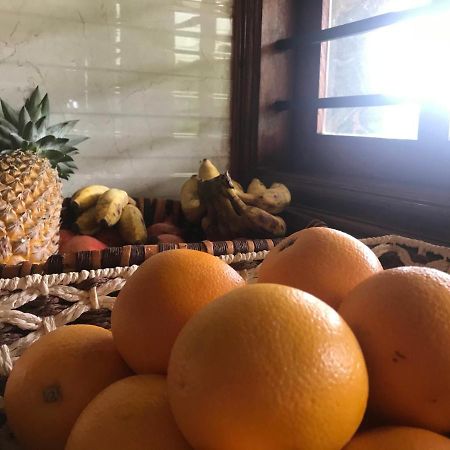 Villa Wodeyarmutt Tropical Luxury Living Sringeri Kültér fotó