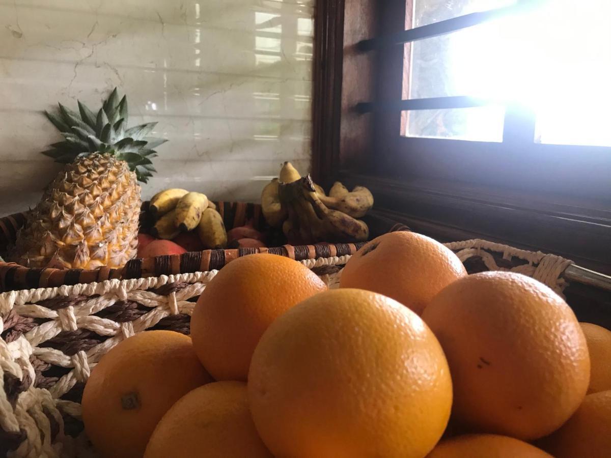 Villa Wodeyarmutt Tropical Luxury Living Sringeri Kültér fotó